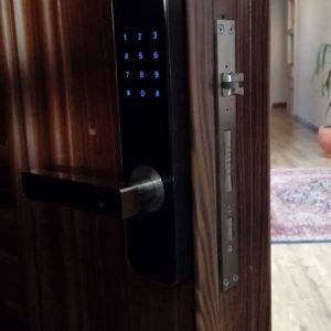 قفل دیجیتال Tuya E100